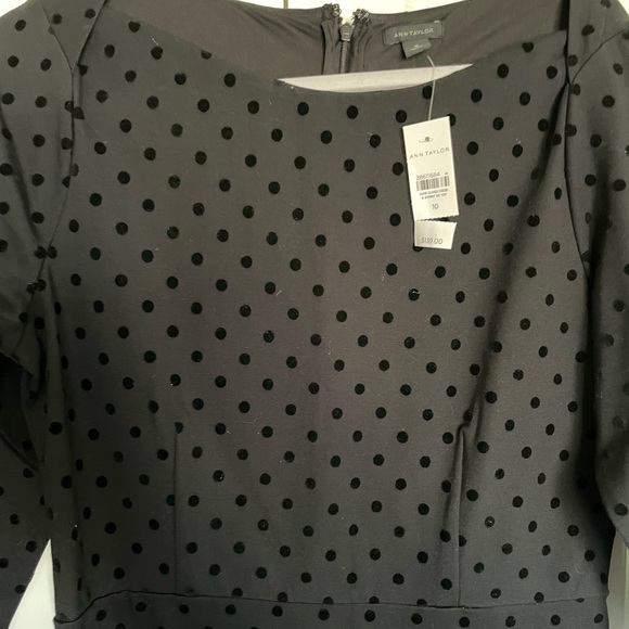 Ann Taylor LBD with velvet dot accent! (NWT - size 10) - Picture 4 of 4
